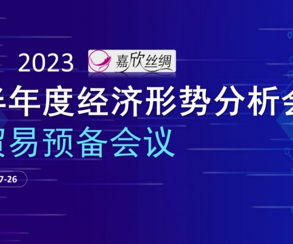 商业总额稳固，，，商业质量提升 尊龙时凯丝绸召开2023半年度经济形势剖析谈判业准备聚会